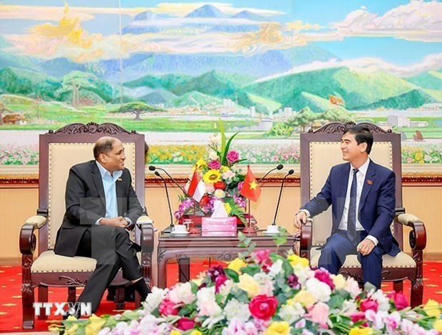 Singaporean firms eye stronger cooperation with Vinh Phuc province: ambassador hinh anh 1