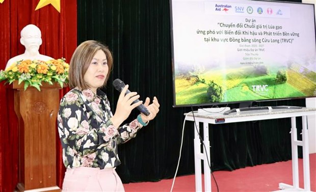 An Giang receives help to transform rice value chains for better climate resilience hinh anh 1