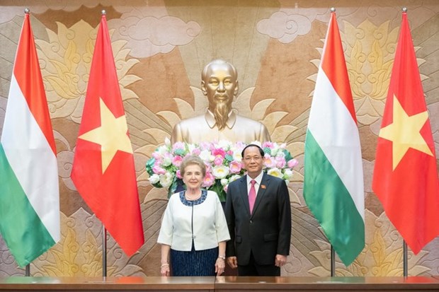 Vietnam, Hungary strengthen parliamentary supervision of bilateral agreements hinh anh 1
