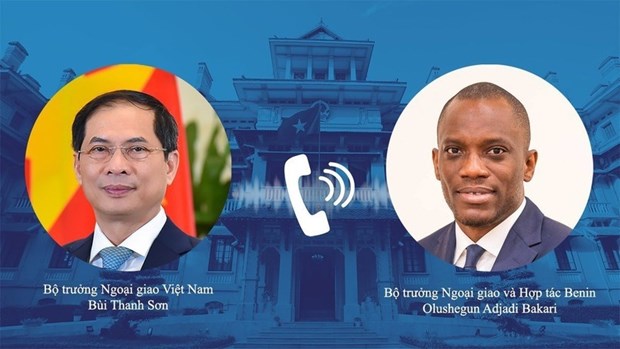 Vietnam values traditional friendship, cooperation with Benin: FM hinh anh 1