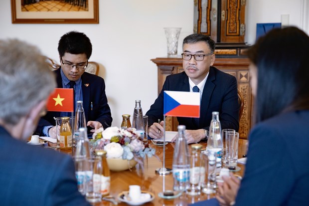 Czech Senate President appreciates Vietnam’s potential, position hinh anh 2
