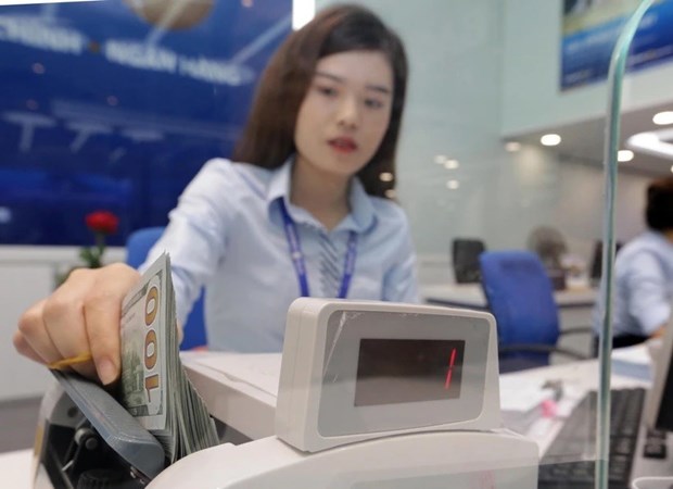 Overseas remittances to HCM City record highest increase in three years hinh anh 1