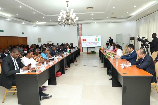 Vietnam treasures multifaceted cooperation with Cote d'Ivoire: Deputy FM hinh anh 1