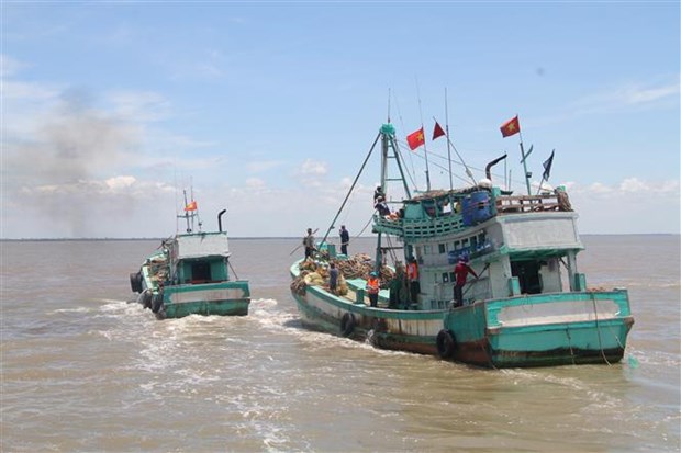Regional workshop highlights cooperation against IUU fishing hinh anh 1