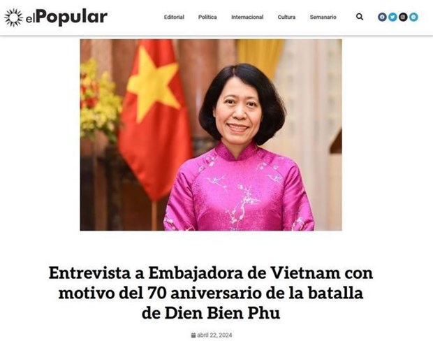 Dien Bien Phu – victory of intense patriotism: Ambassador hinh anh 1