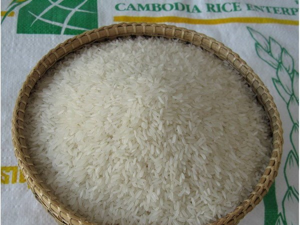 Cambodia’s rice production faces slight fall hinh anh 1
