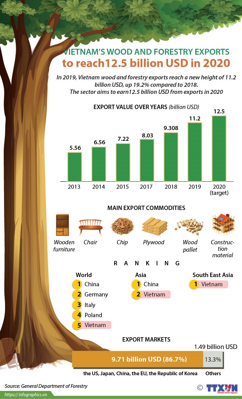 Vietnam's wood and forestry exports expected to reach 12.5 bil in 2020 hinh anh 1