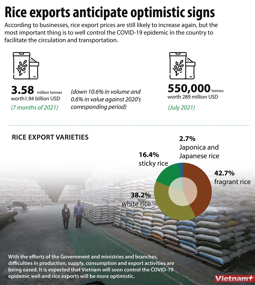 Rice exports anticipate optimistic signs hinh anh 1