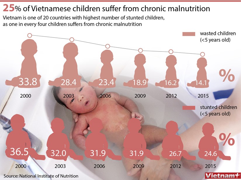 Nearly 25 percent of Vietnamese children are stunted hinh anh 1