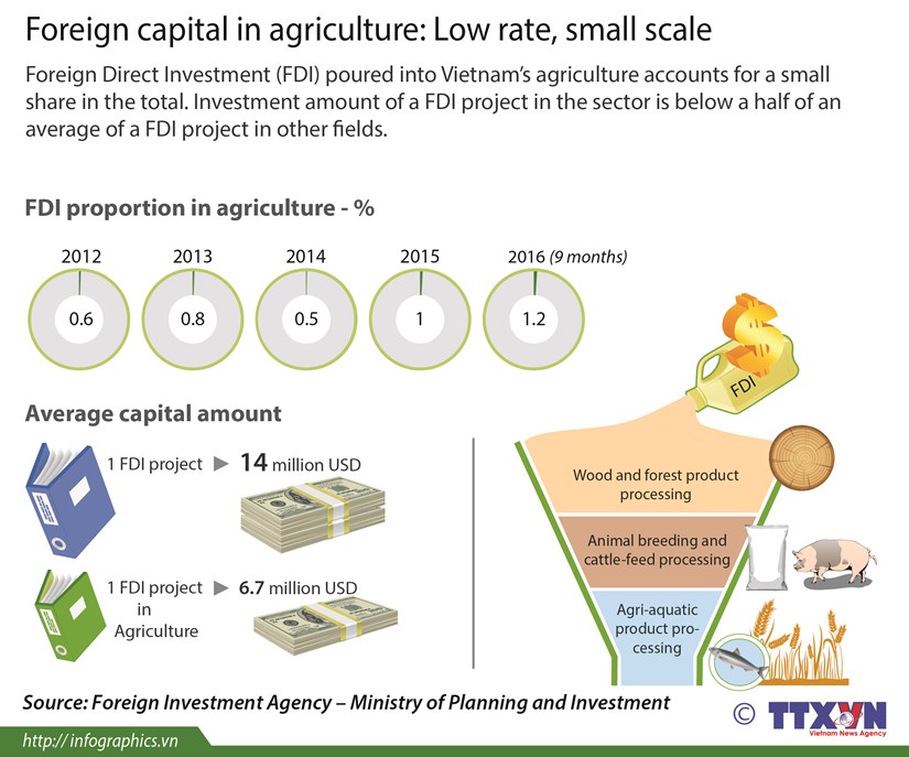Foreign capital in agriculture: Low rate, small scale hinh anh 1