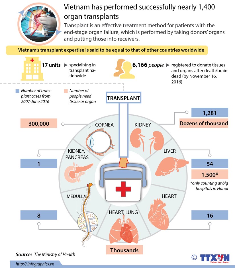 Vietnam performs successfully nearly 1,400 organ transplants hinh anh 1