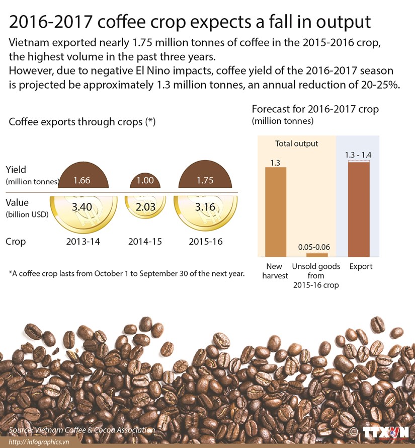2016-2017 coffee crop expects a fall in ouput hinh anh 1