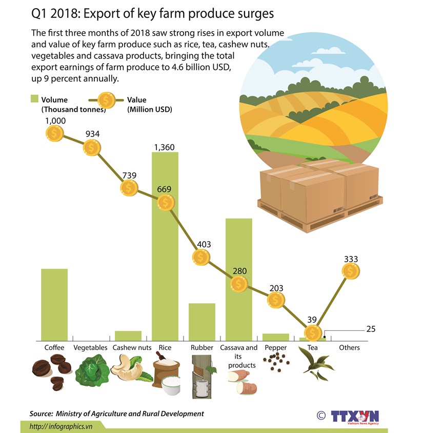 Q1 2018: Export of key farm produce surges hinh anh 1