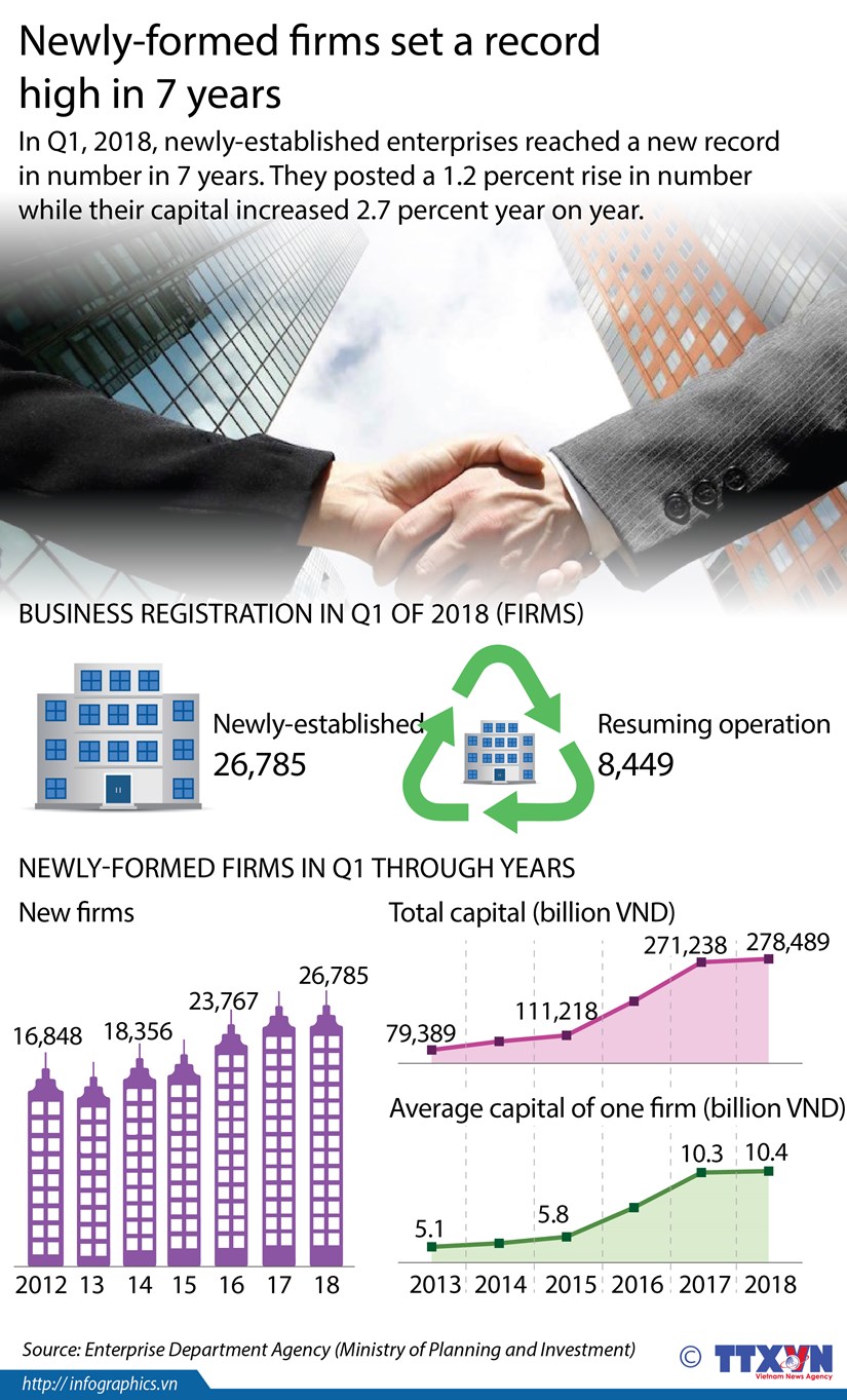 Newly-formed firms set a record high in 7 years hinh anh 1
