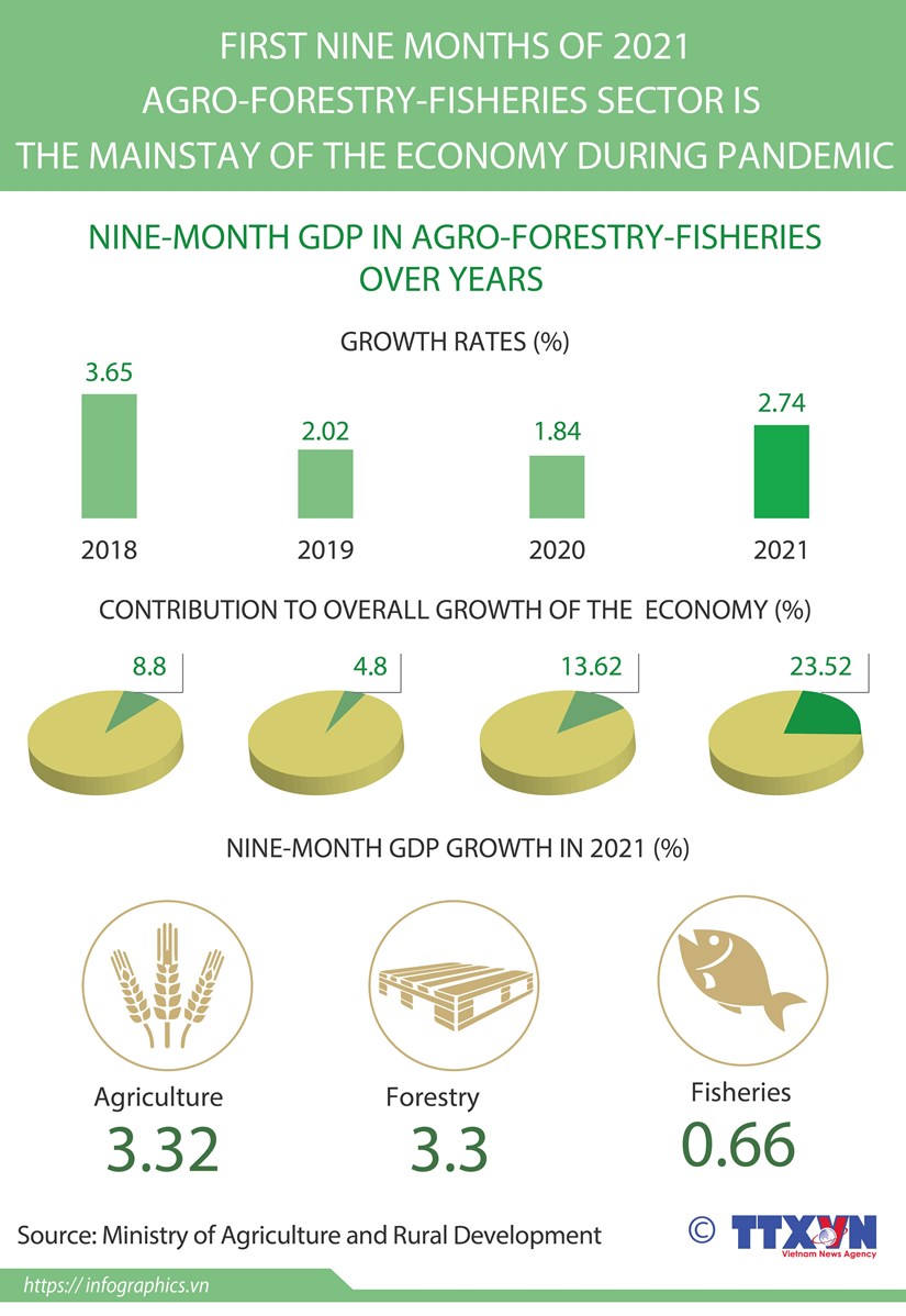 Agro-forestry-fisheries - the mainstay of the economy hinh anh 1