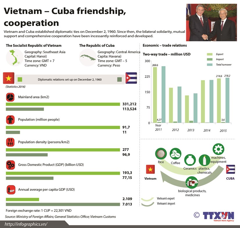 Vietnam, Cuba enhance friendship, cooperation hinh anh 1
