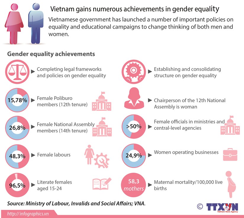 Vietnam gains numerous achievements in gender equality hinh anh 1