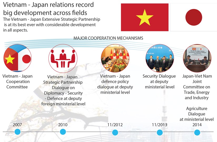 Vietnam - Japan relations record big development across fields hinh anh 1