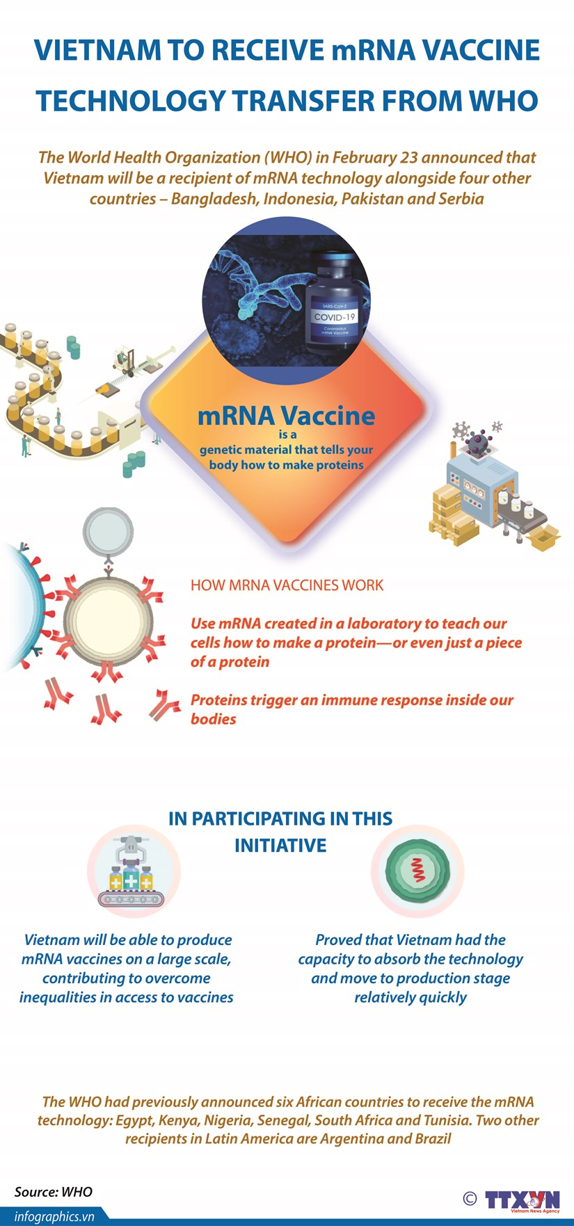 Vietnam to receive mRNA vaccine technology transfer from WHO training hub hinh anh 1