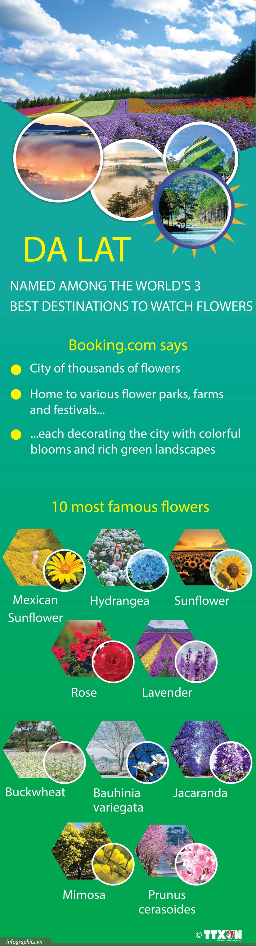 Da Lat among world's top destinations for flowers hinh anh 1