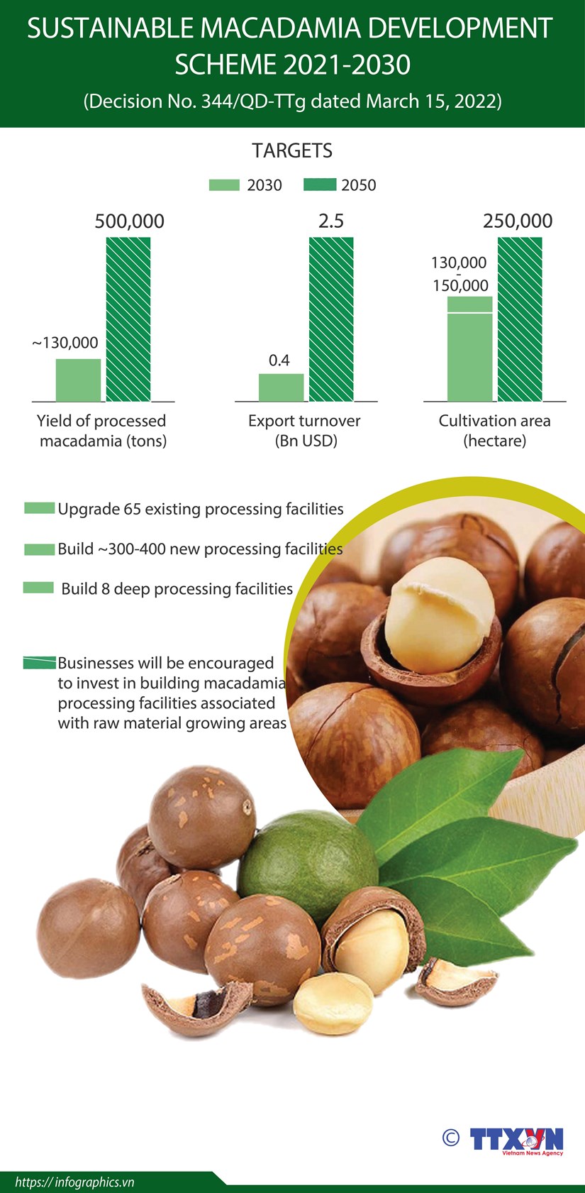 Sustainable Macadamia Development Scheme hinh anh 1