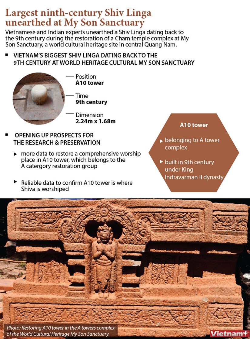 Largest ninth-century Shiv Linga unearthed at My Son Sanctuary hinh anh 1