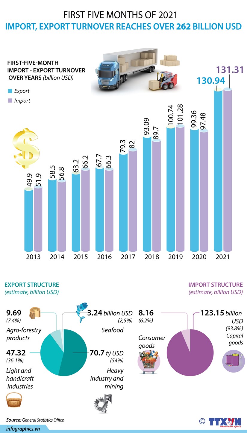 Import-export turnover surpasses 262 billion USD in first five months hinh anh 1