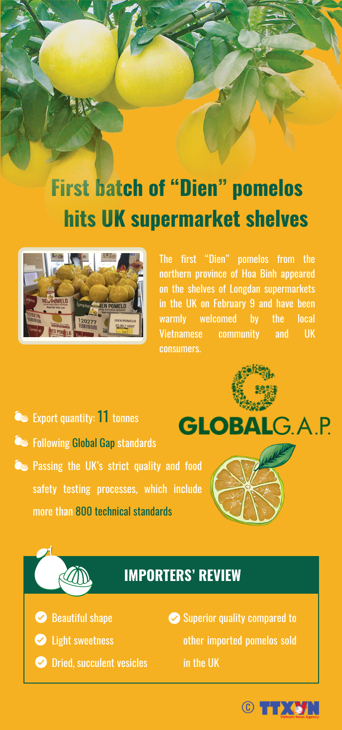 First batch of “Dien” pomelos hits UK supermarket shelves hinh anh 1