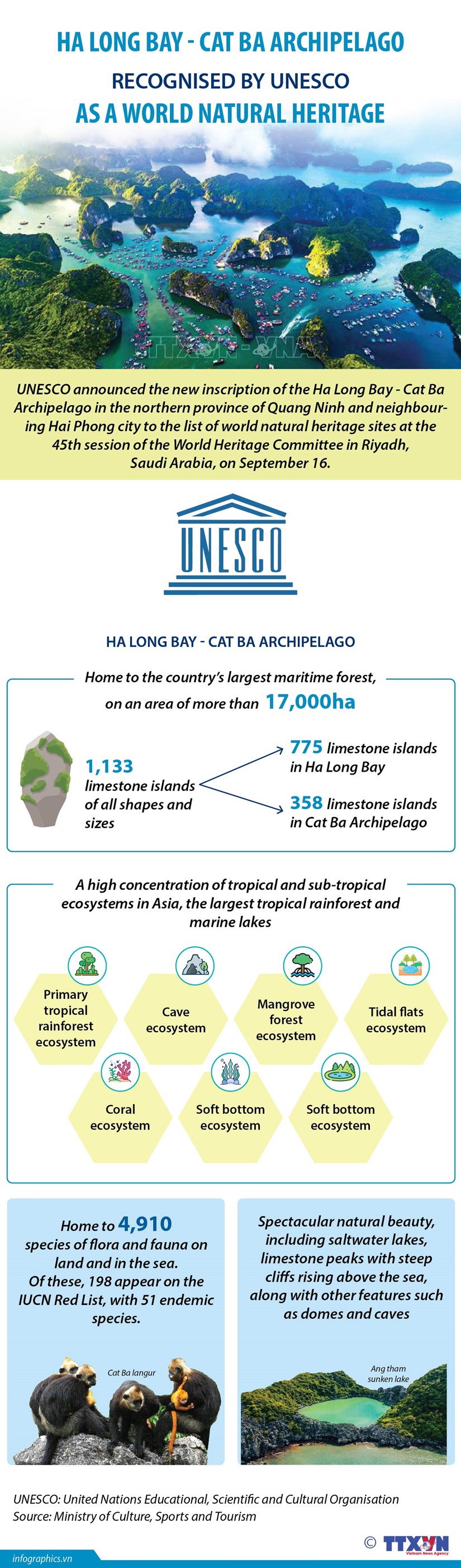 Ha Long Bay - Cat Ba Archipelago recognised as world natural heritage hinh anh 1