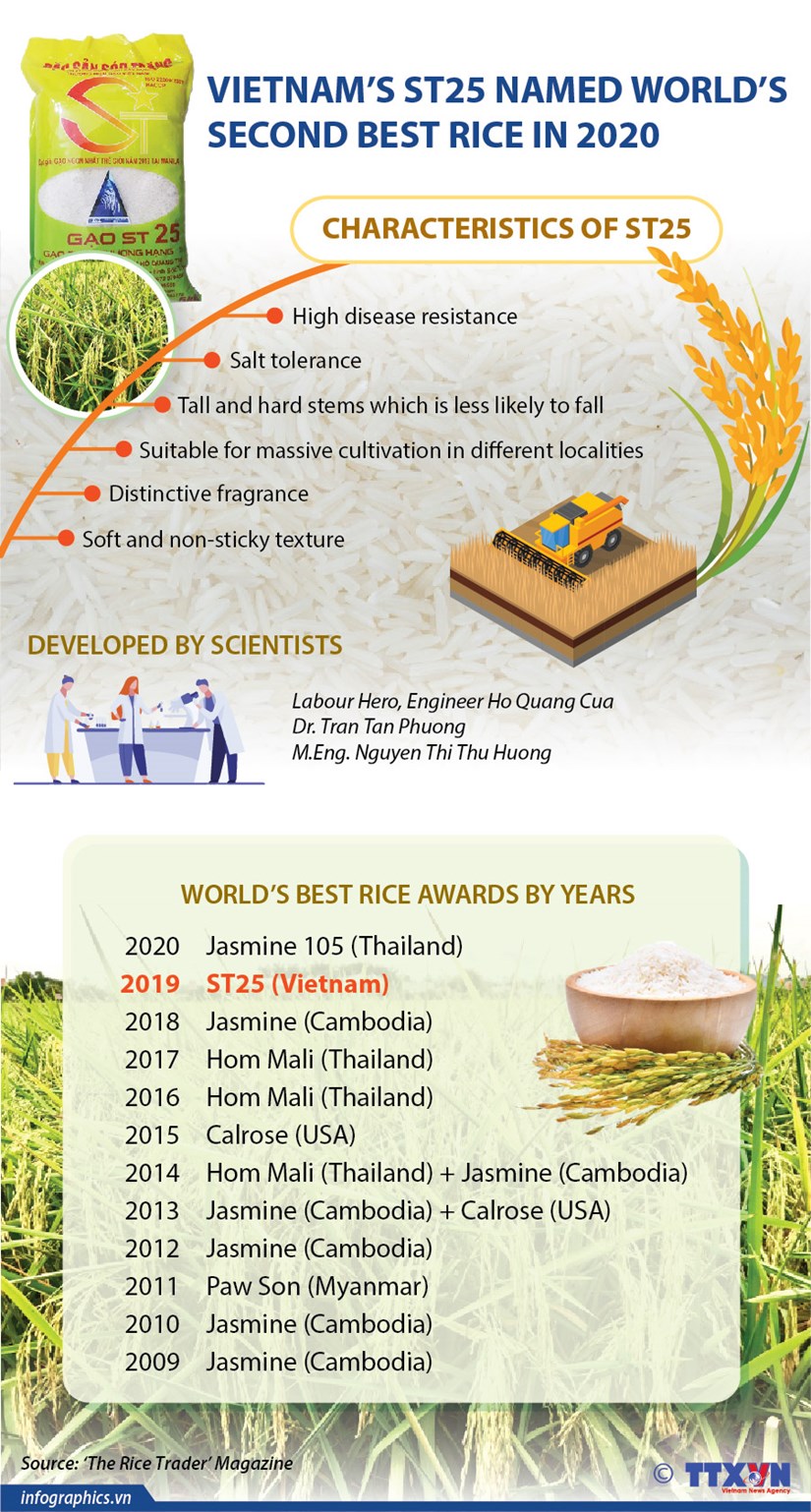 Vietnam’s ST25 named world’s second best rice in 2020 hinh anh 1