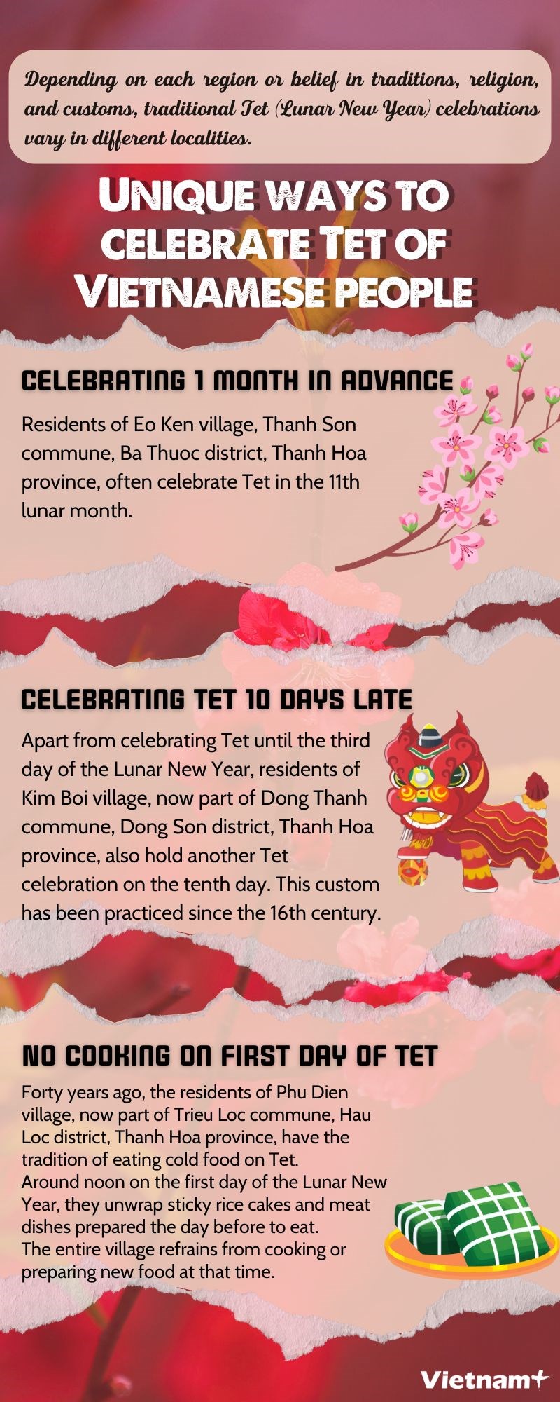 Unique ways to celebrate Lunar New Year of Vietnamese people hinh anh 1
