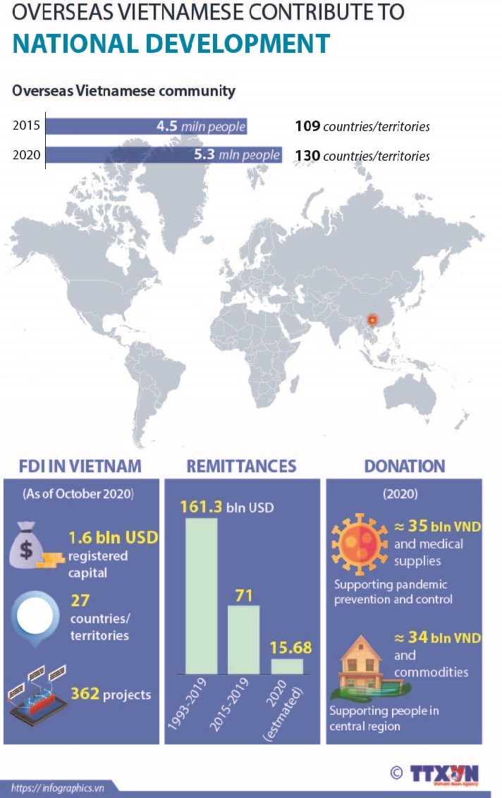 Overseas Vietnamese contribute to national development hinh anh 1