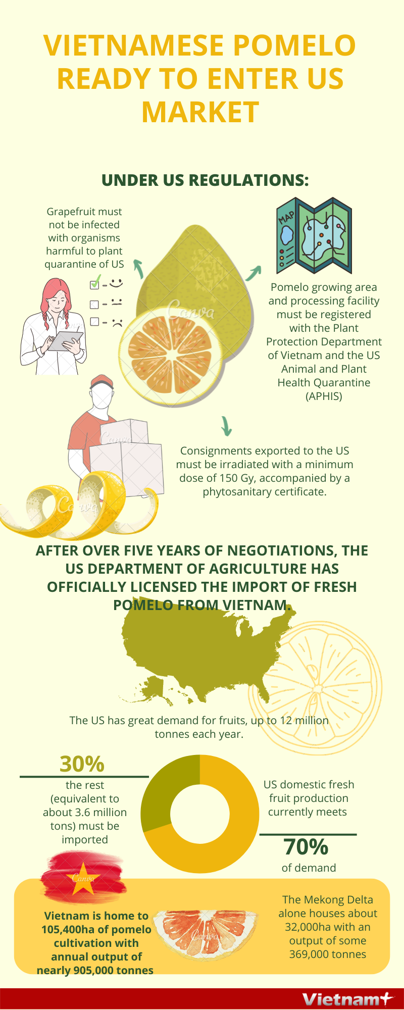 Vietnamese pomelo gets ready to enter US market hinh anh 1