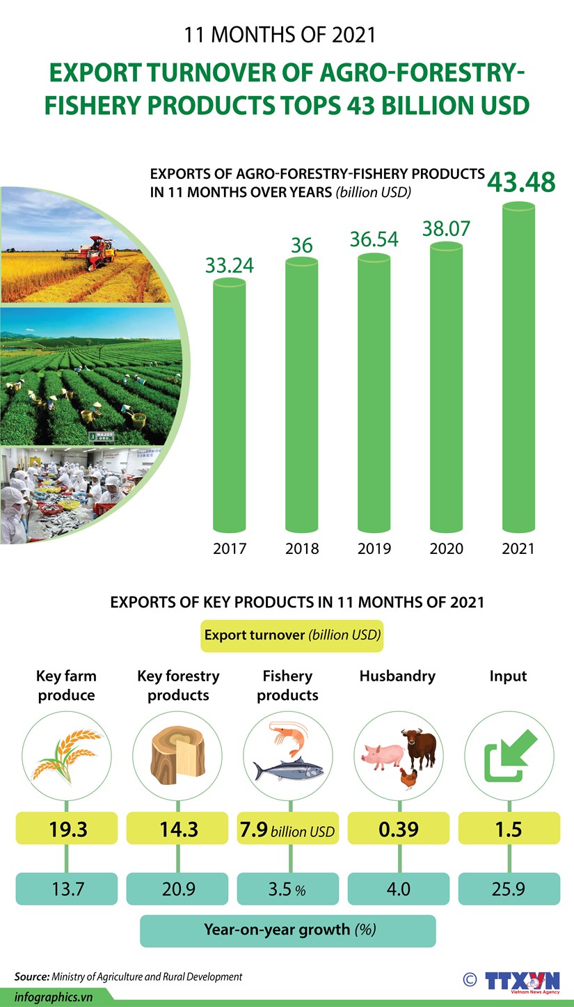 Export turnover of agro-forestry-fishery products tops 43 billion USD hinh anh 1