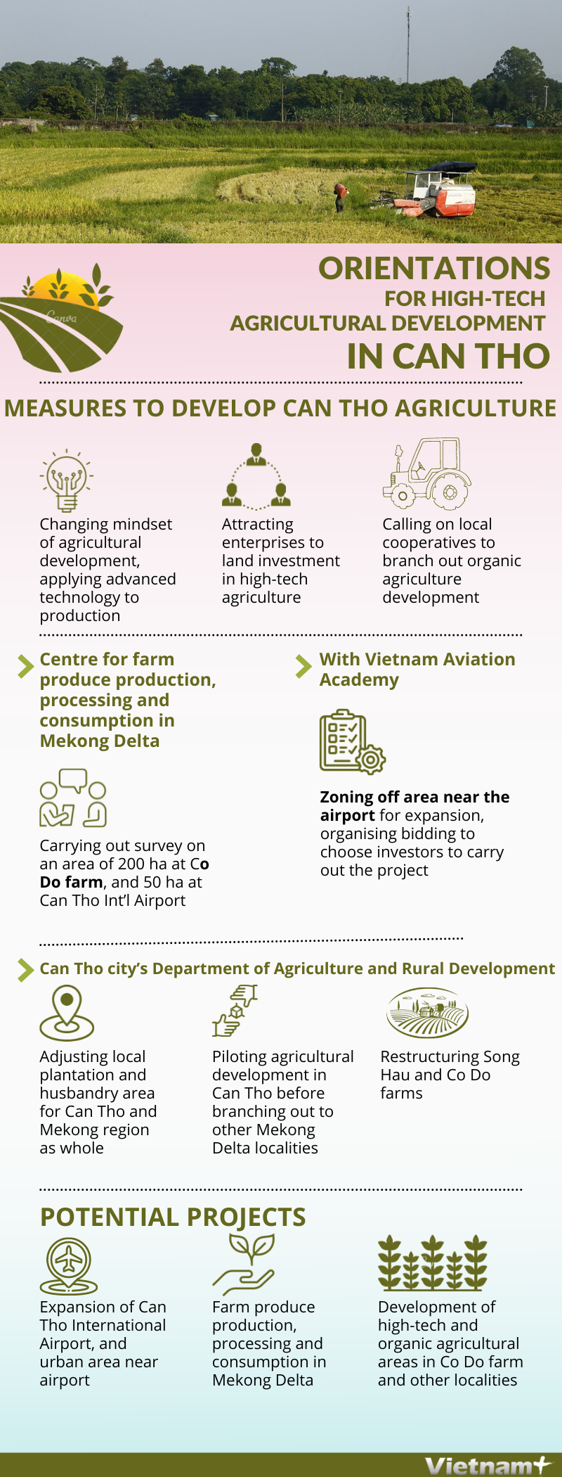 Orientations for high-tech agricultural development in Can Tho hinh anh 1