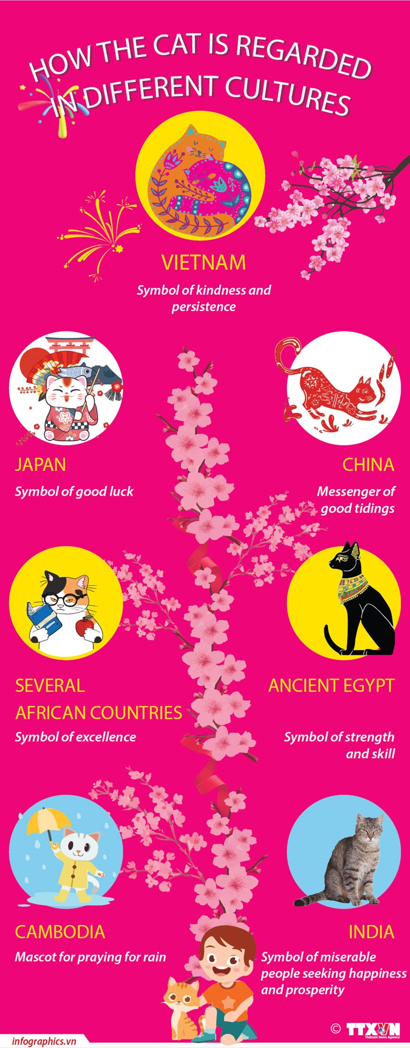 How the cat is regarded in different cultures hinh anh 1