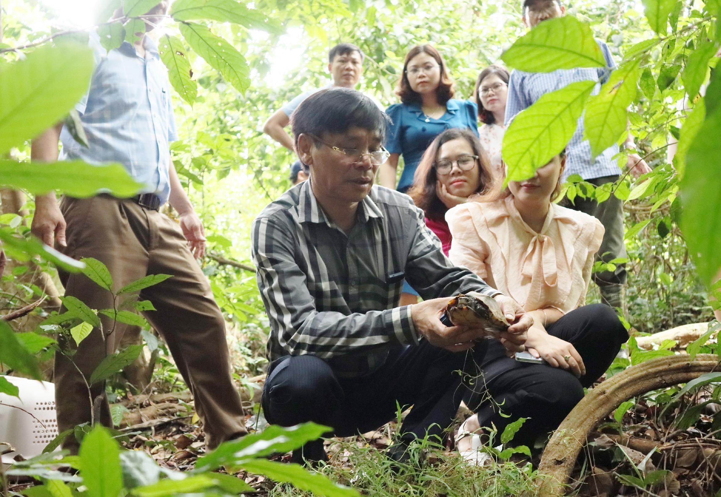 Tens of wild animals released back to nature | Environment | Vietnam+  (VietnamPlus)